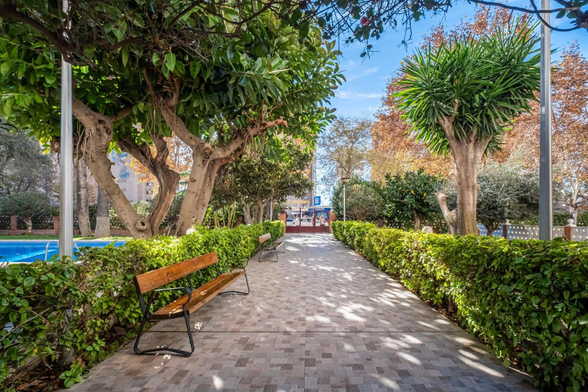 Edimar 2-3 Apartment Levante Beach Benidorm Dış mekan fotoğraf
