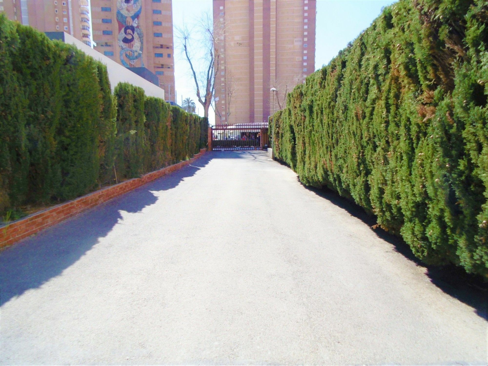 Edimar 2-3 Apartment Levante Beach Benidorm Dış mekan fotoğraf